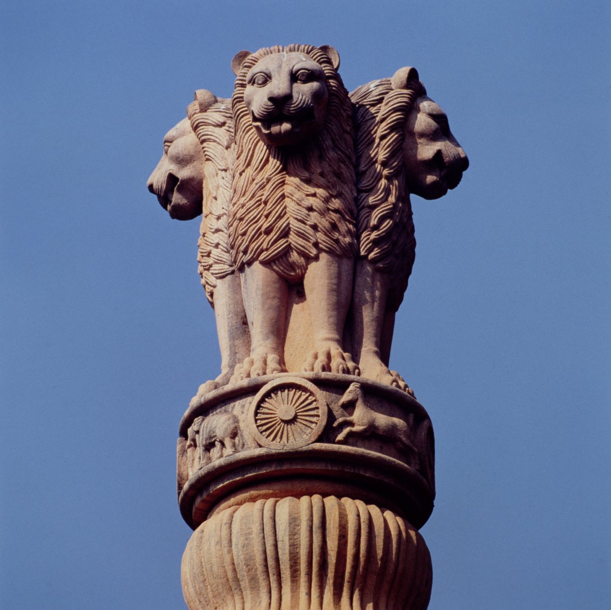 Detail z pilíře Ashoka od Indian School