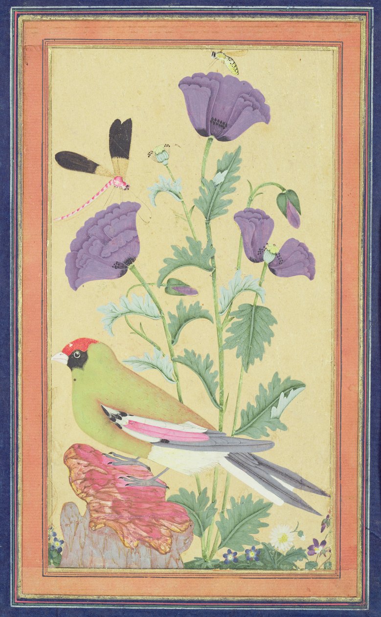 Finch, Poppies, Dragonfly and Bee, cca 1650-70 (wc a zlato na papíře) od Indian School