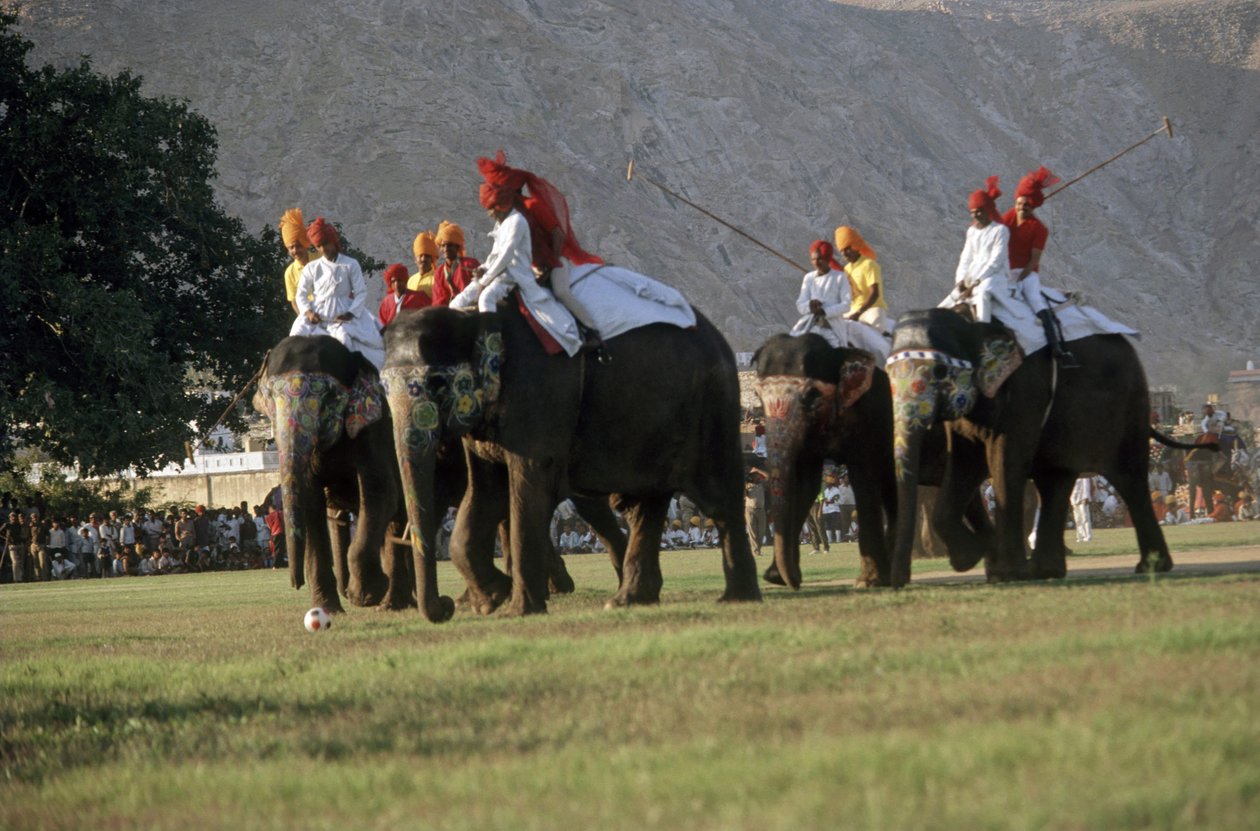 Muži hrající sloní pólo (foto) od Indian Photographer