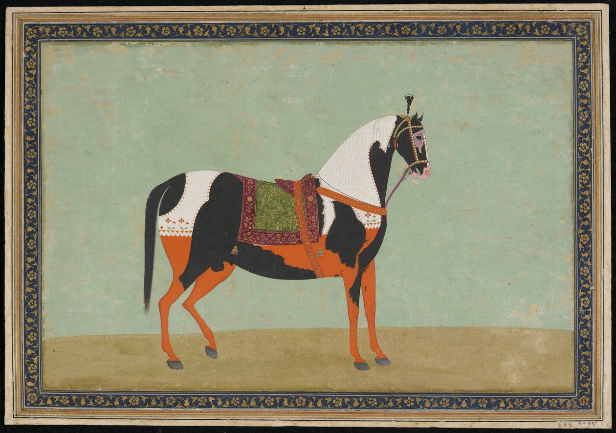 A Horse, Album folio, 19. století (neprůhledný akvarel a zlato na papíře) od Indian School