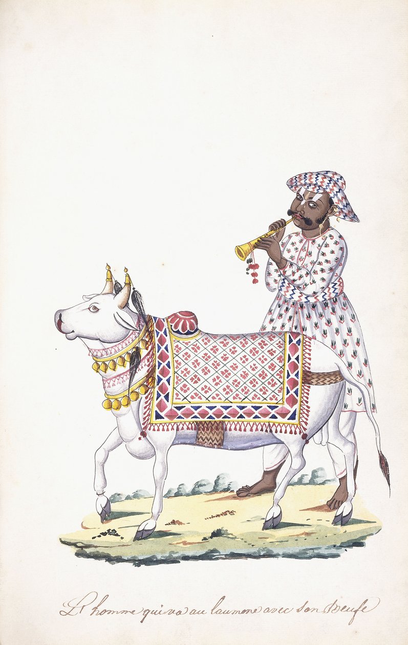 Muž se svým volem, c. 1825 (tužka, pero, černý inkoust, w/c, na papíře Whatman) od Indian School