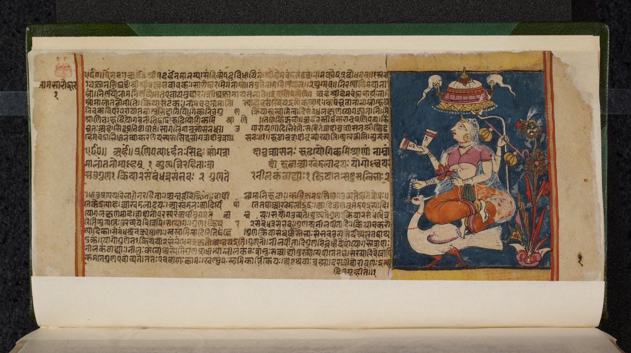 Folio rukopisu Abhidan Chintamani od Indian School