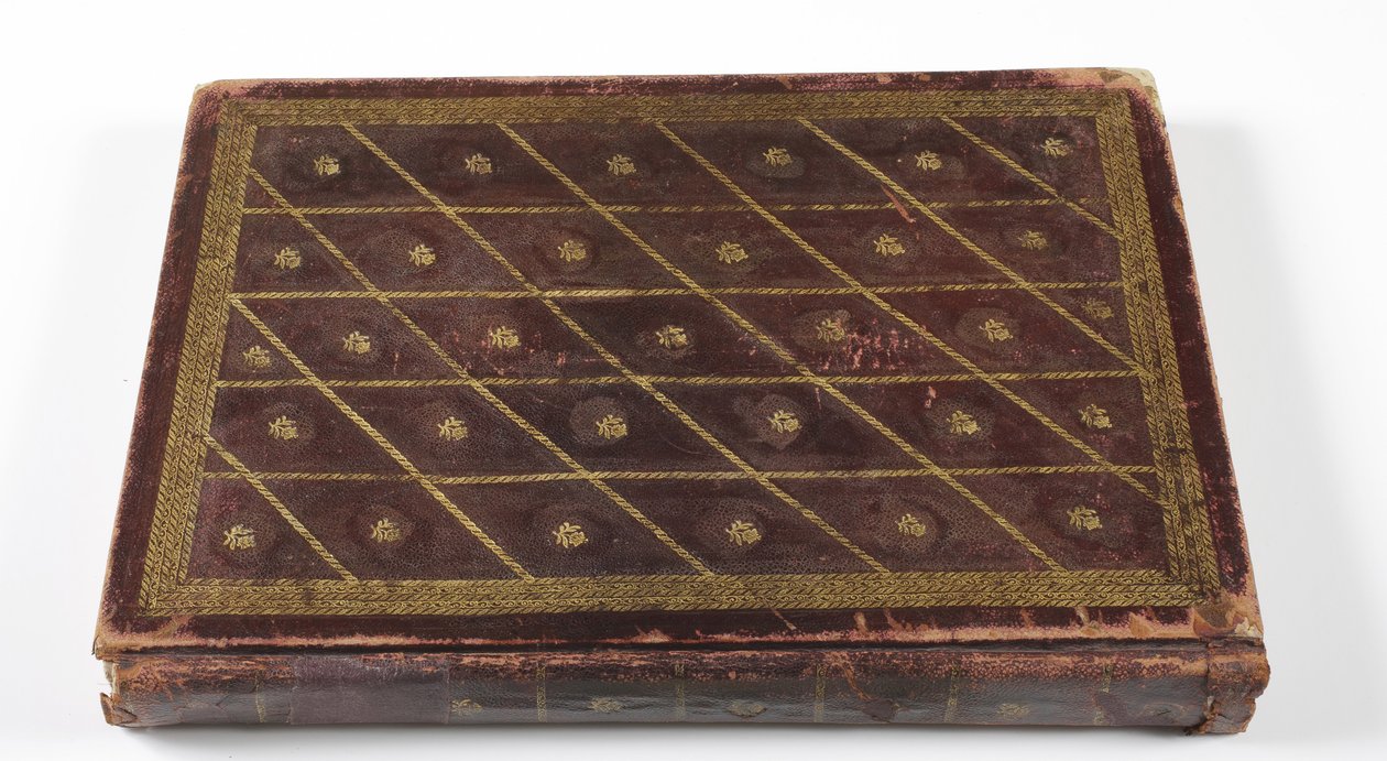 Album mughalské dynastické genealogie, 1855 (kůže se zlatými detaily) od Indian School