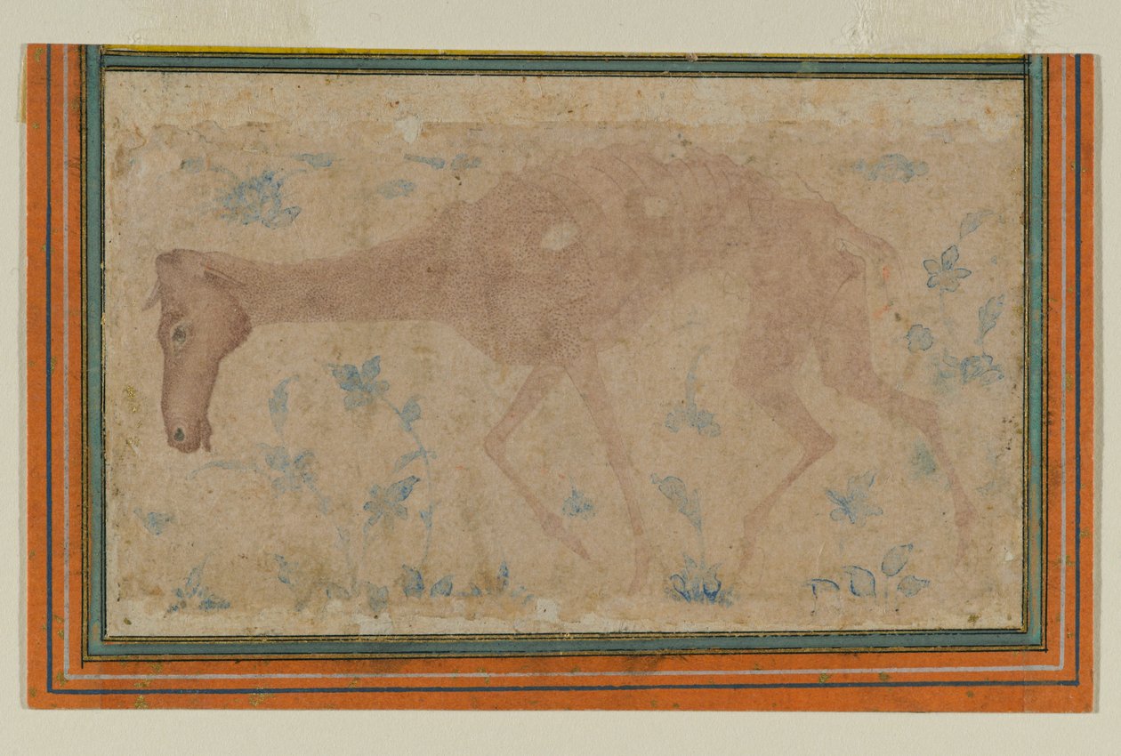 Vyhublý kůň, z Mughal nebo Deccan, polovina 17. století (inkoust a barva na papíře) od Indian School