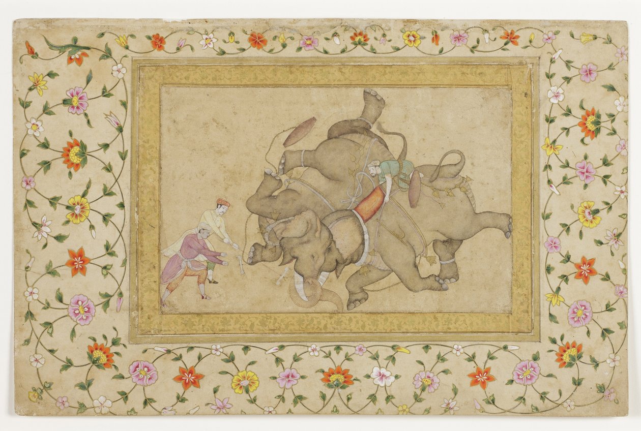 Boj se slony, s arabskou květinovou hranicí, cca 1610 (neprůhledné wc a zlato na papíře) od Indian School