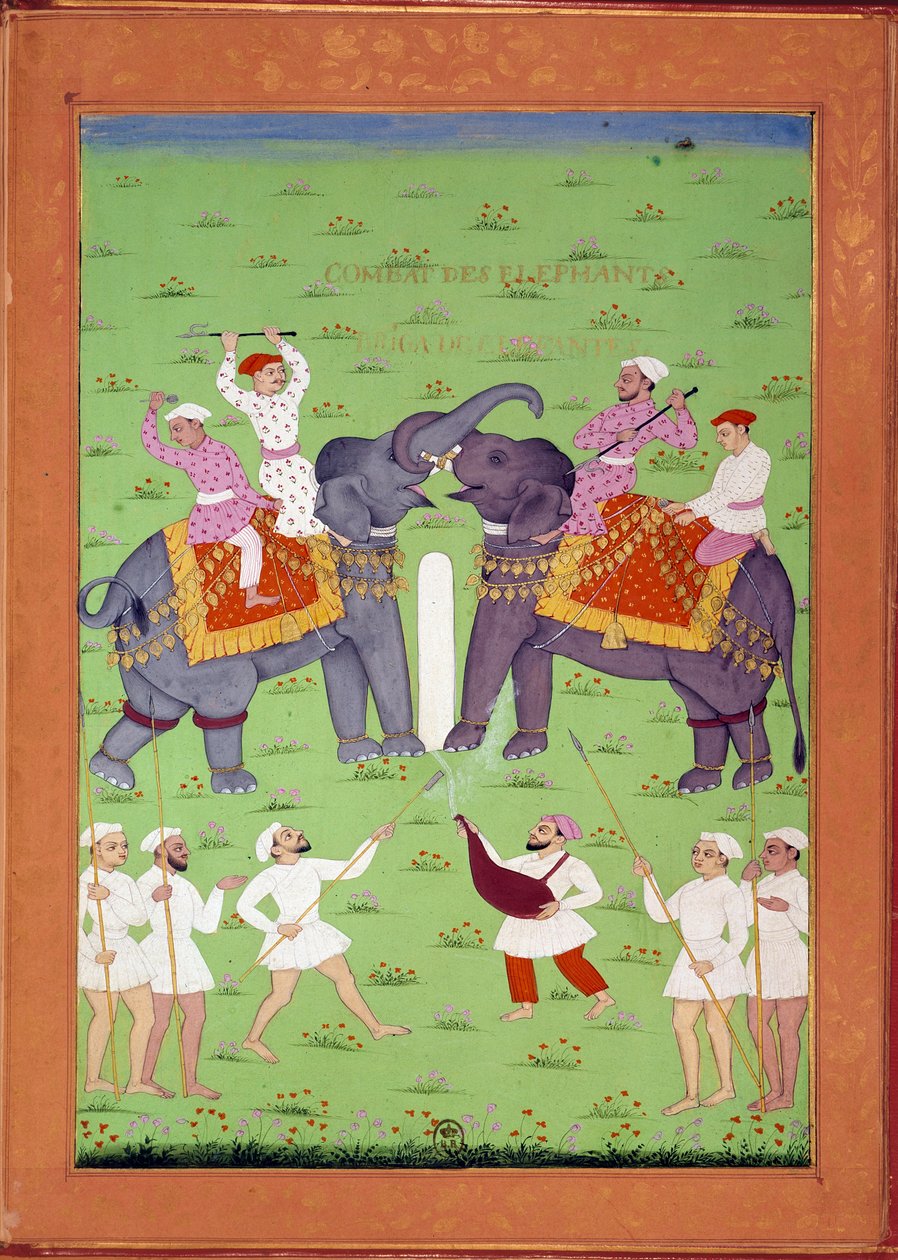 Bitva dvou slonů na dvoře indických a perských miniatur Shah Alema v „Historie Indie od Tamertante po Orangreyb““ od Niccolo Manucciho (1638-1717). B.N., Paříž. od Indian School