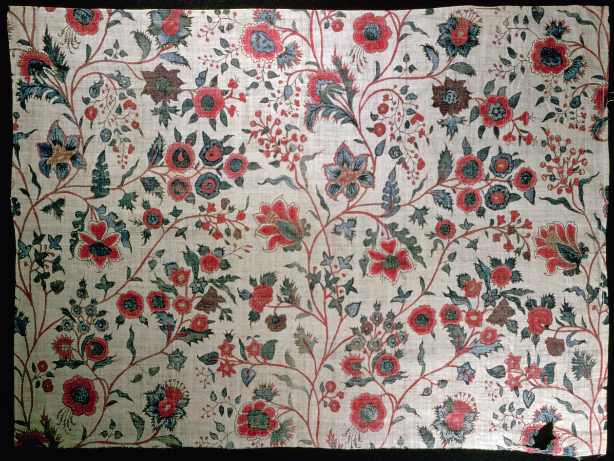 Dekorativní textil, 1725-50 od Indian School