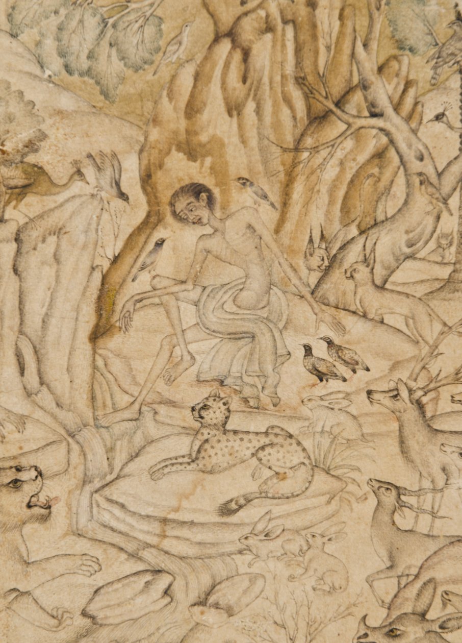 Detail z Majnunu v divočině, cca 1595 (neprůhledné wc a zlato na papíře) od Indian School
