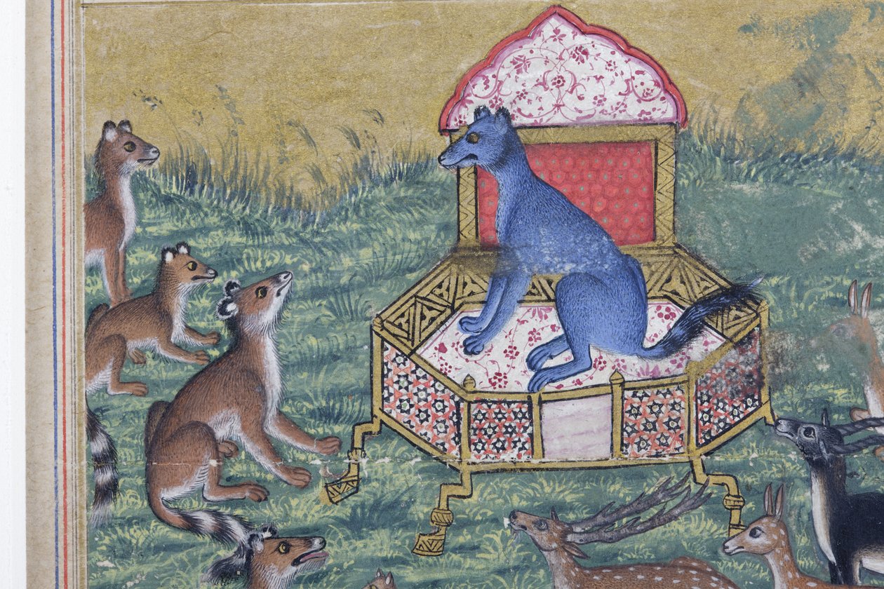 Detail z Šakal, který se prohlásil za krále, kolem 1560-65 (neprůhledné wc a zlato na papíře) od Indian School
