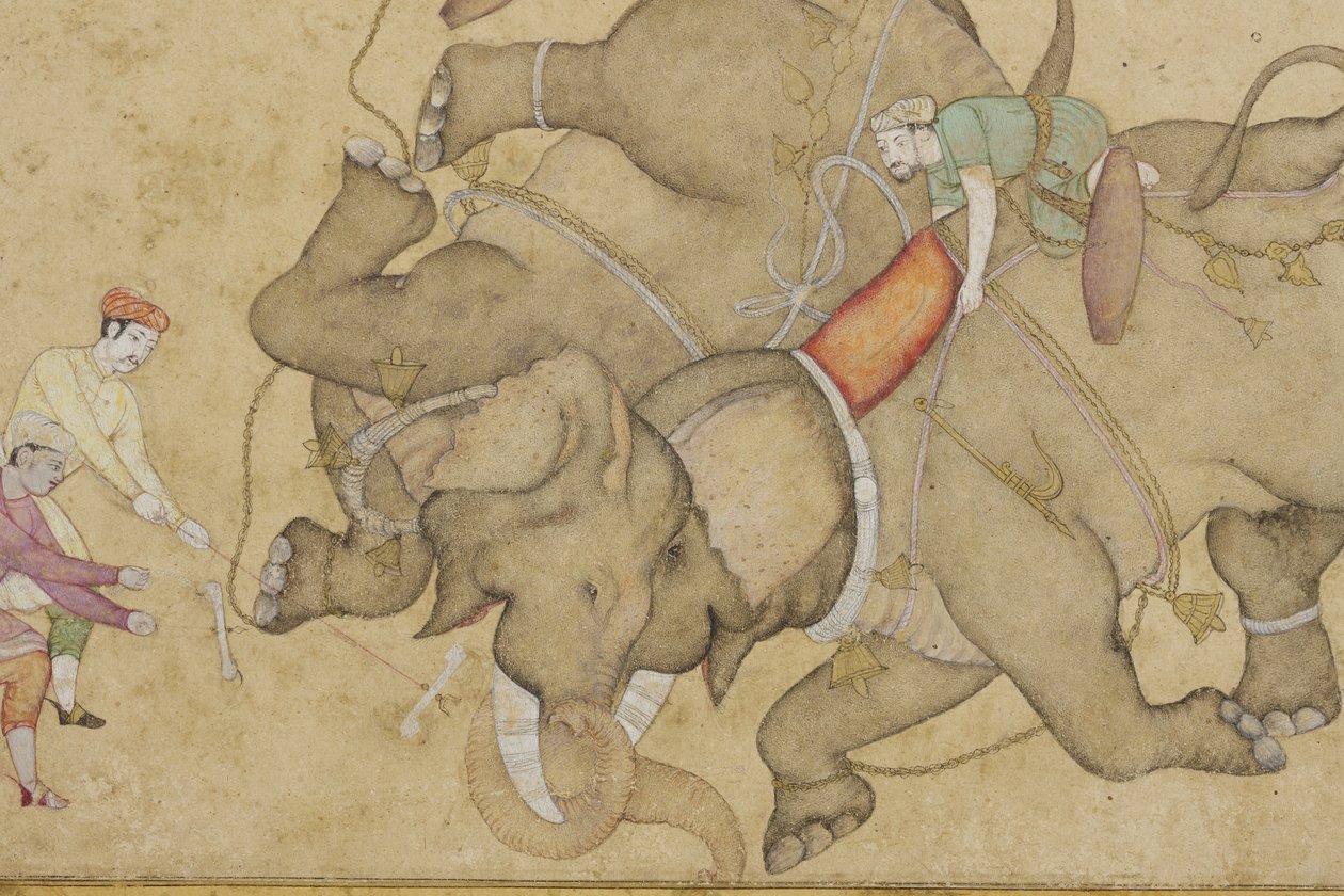 Detail ze souboje se slony, s arabskou květinovou hranicí, cca 1610 (neprůhledné wc a zlato na papíře) od Indian School