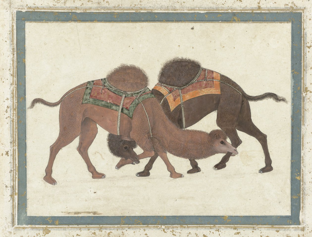 Boj s velbloudy, kolem 1680-1700 od Indian School