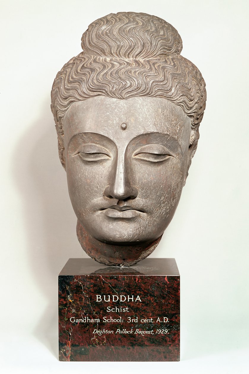 Hlava od sochy Buddhy, z Gandhara, severozápadní Indie (šedá břidlice) od Indian School