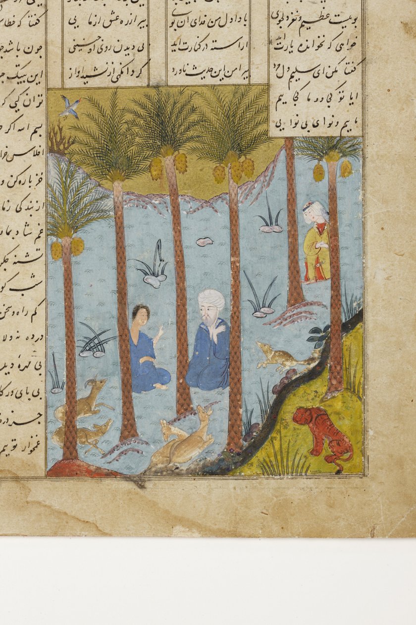 Laila navštíví Majnun v palmovém háji, kolem 1475 (neprůhledné wc a zlato na papíře) od Indian School