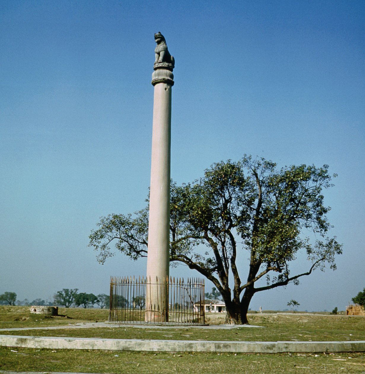 Lví sloup císaře Ashoky (asi 264–223 př. n. l.) od Indian School