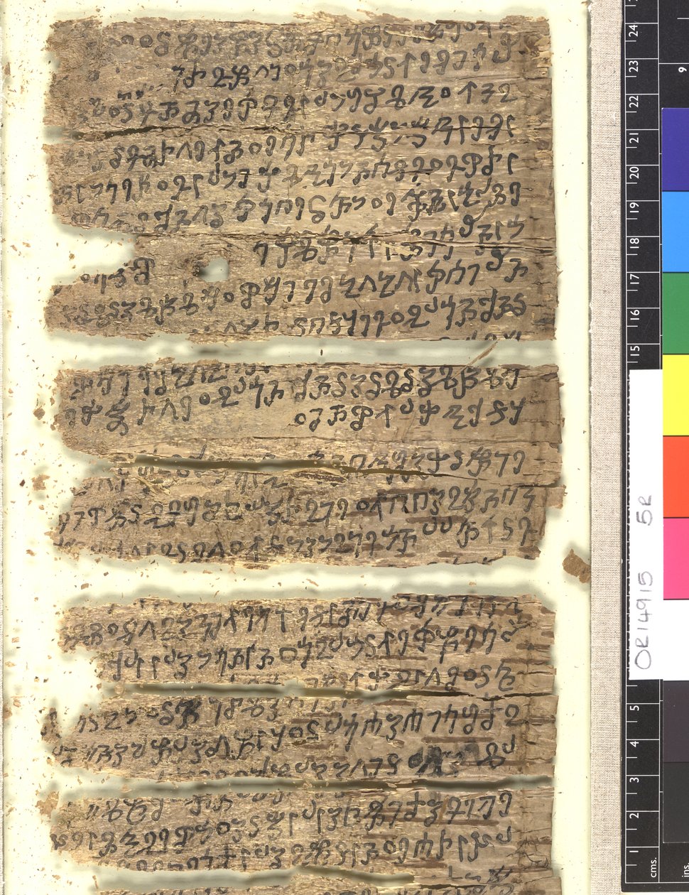 OMS OR 14915 f.5r Rukopis fragmentů březové kůry v Kharoṣṭi od Indian School