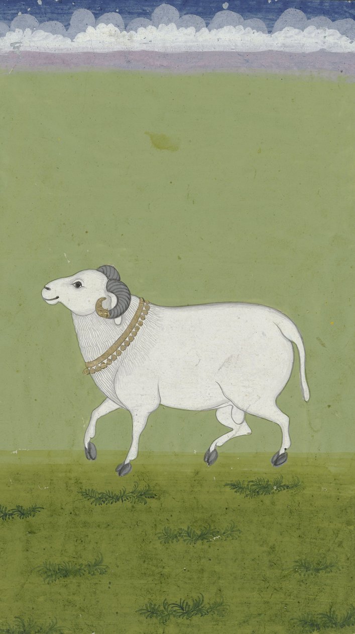 Beran se zlatým límcem, 1700-1799 od Indian School