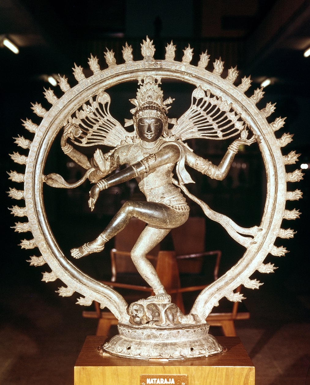 Shiv Nataraja, z Kankoduthavanitam, Tanjore (Bronz) od Indian School