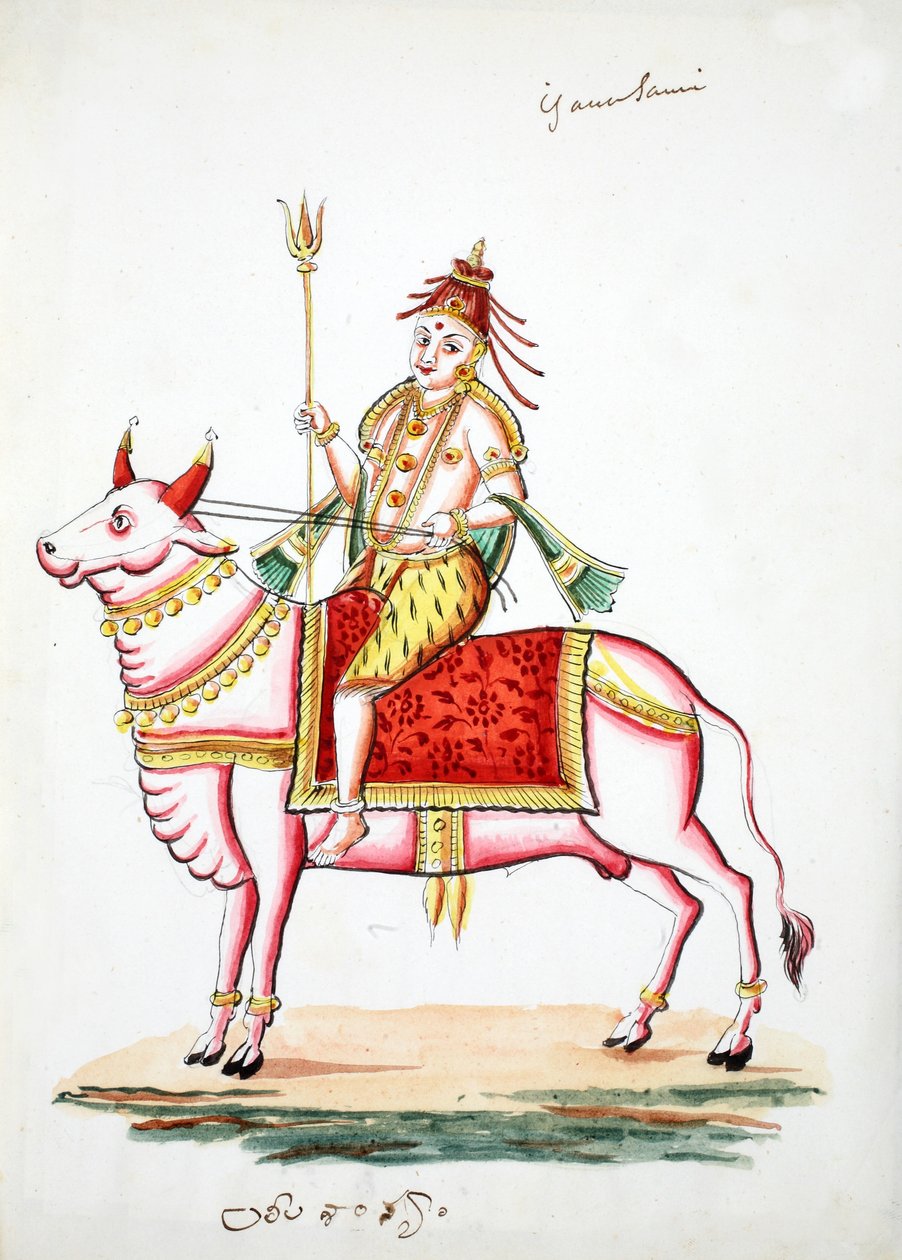 Shiva nasedl na býka, Nandi (wc na papíře) od Indian School