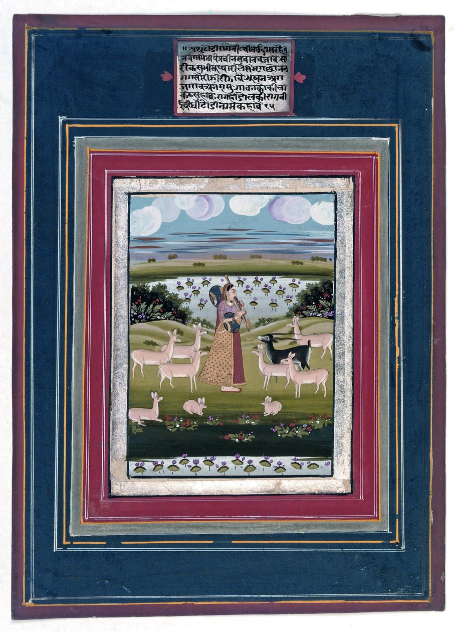 Todi ragini - Dáma hrající na víno v krajině se zvířaty, 1810-20 od Indian School