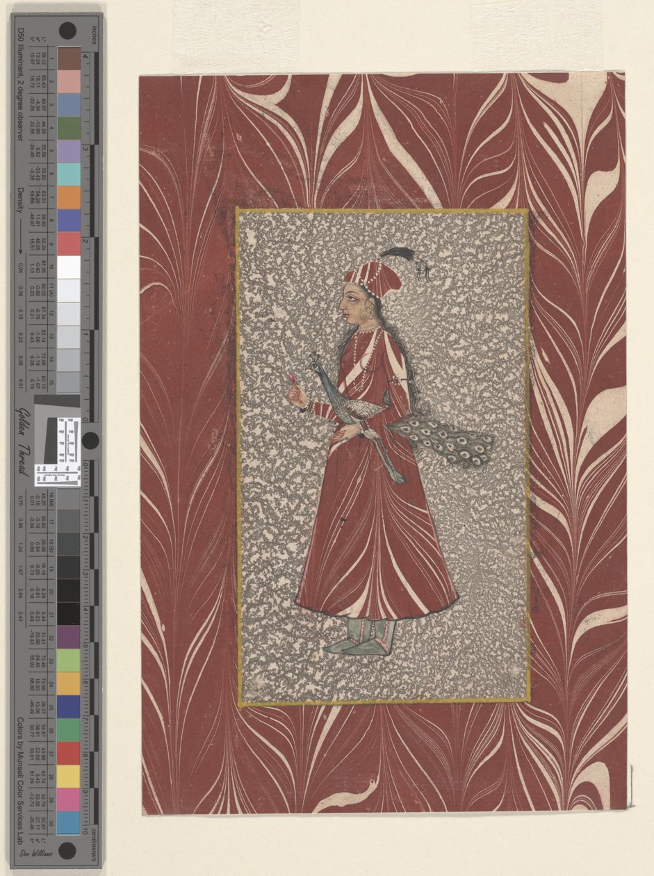 Žena držící páva, Bijapur, d1660 (inkoust a akvarel na papíře) od Indian School