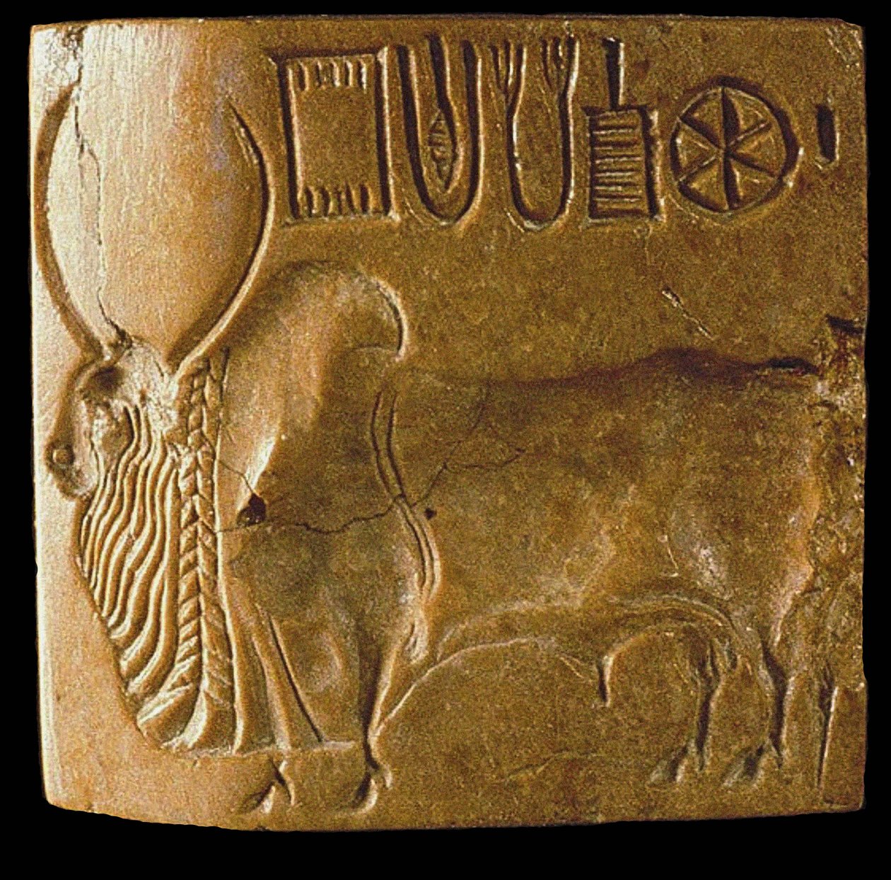 Pečeť býka zebu s písmem Indus Nalezeno v Mohenjo Daro, údolí Indus, 3. tisíciletí před naším letopočtem. od Indus Valley Civilisation.