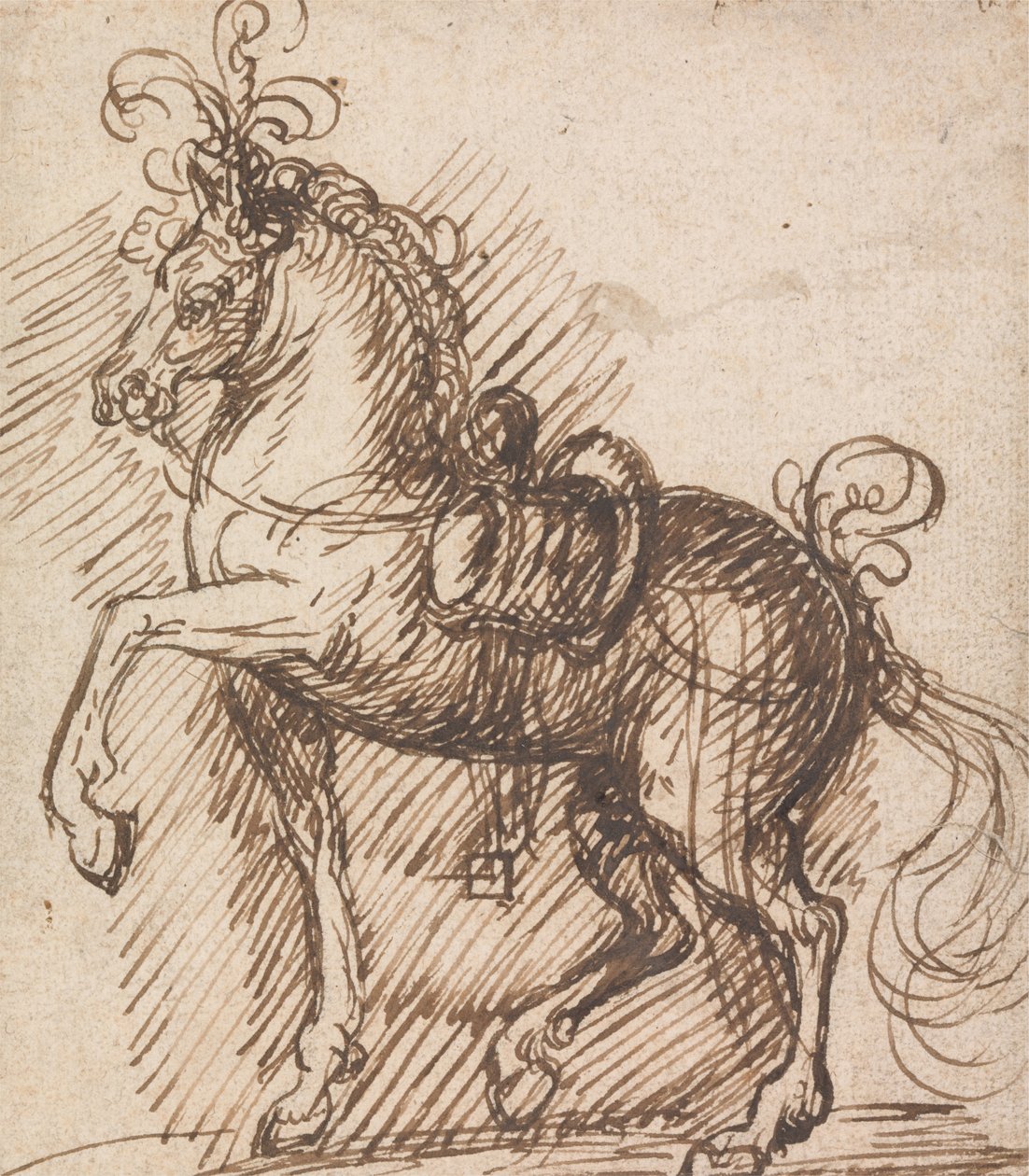 Plumed Saddle-Horse od Inigo Jones