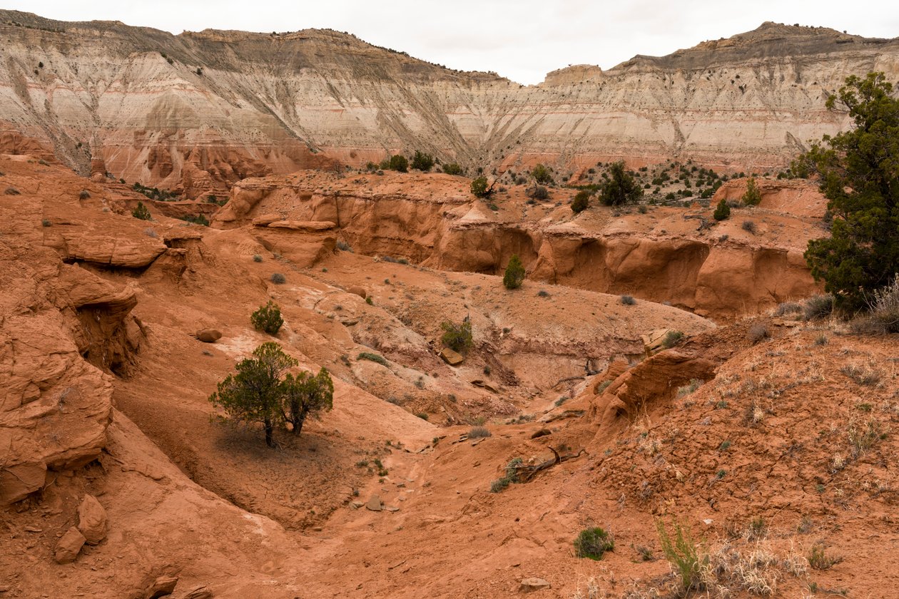 Krajina ve státním parku Kodachrome Basin, Utah, 2019 (foto) od Ira Block