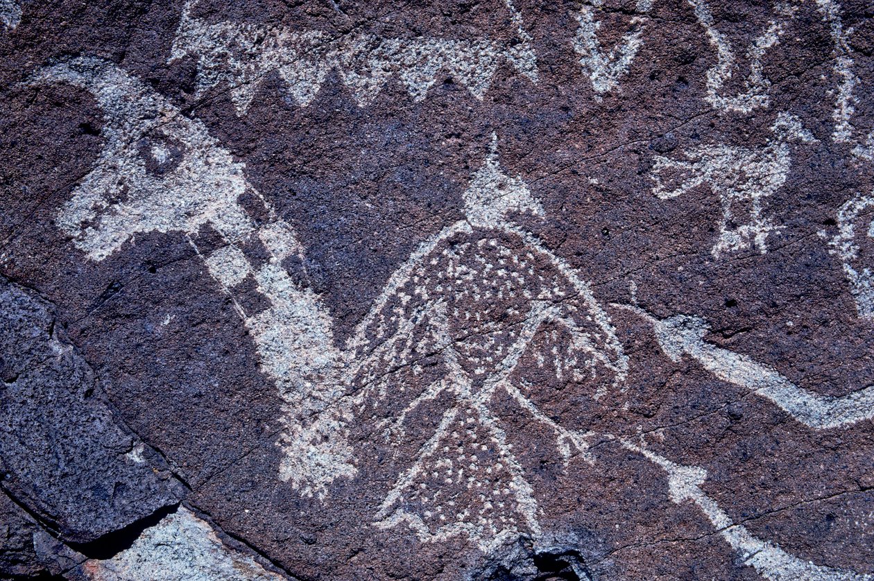 Petroglyfy (skalní umění) Anasaziů v Novém Mexiku. od Ira Block