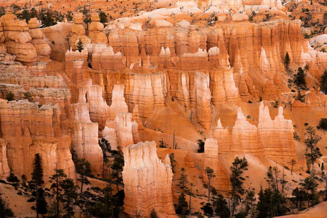 Hoodoos - věže vytvořené erozí - v národním parku Bryce Canyon v Utahu., 2019 (foto) od Ira Block