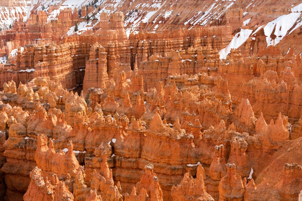 Hoodoos - věže vytvořené erozí - v národním parku Bryce Canyon v Utahu., 2019 (foto) od Ira Block