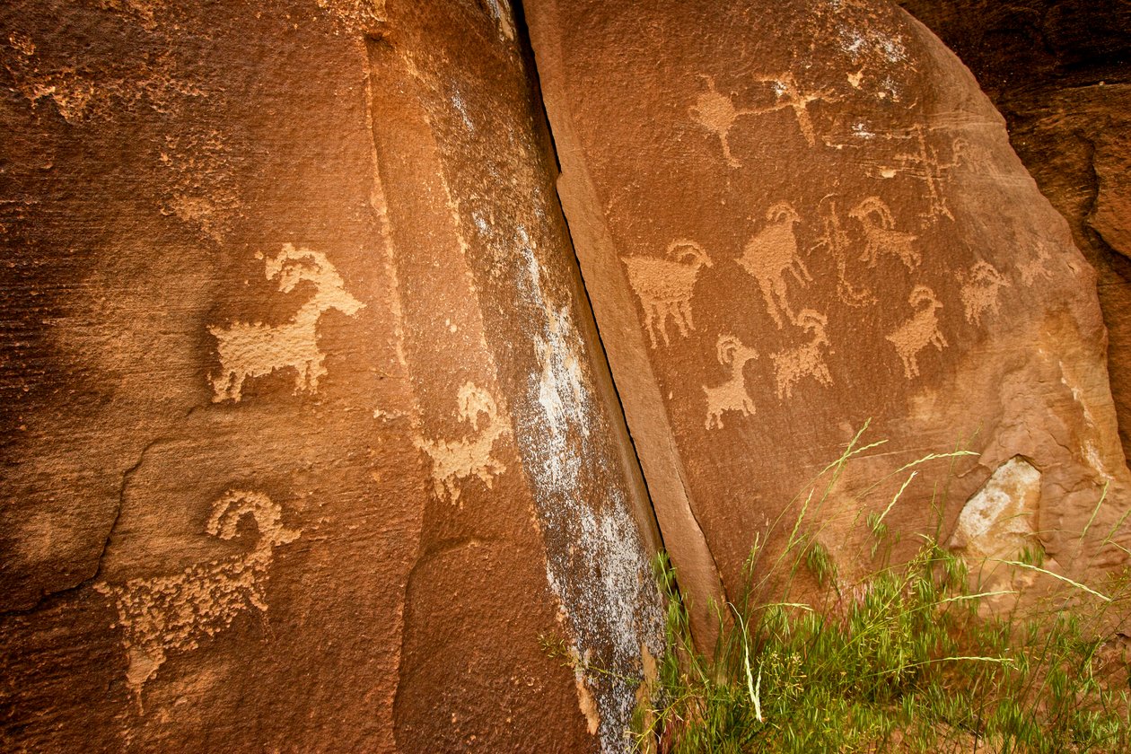 V kaňonu Nine Mile Canyon, panely ovcí poblíž naleziště petroglyfů jeřába popelavého, 2005 (foto) od Ira Block
