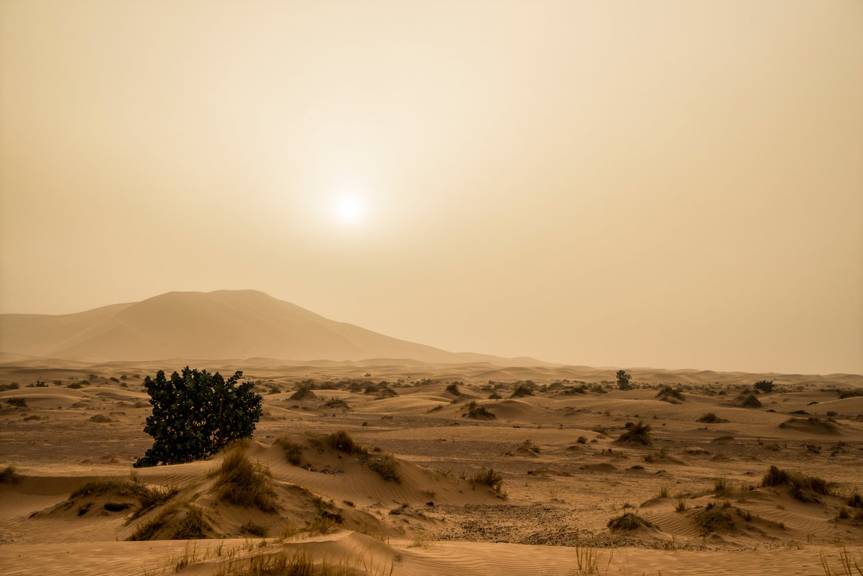 Písečné duny v poušti Erg Chebbi na jihovýchodě Maroka, 2014 (foto) od Ira Block