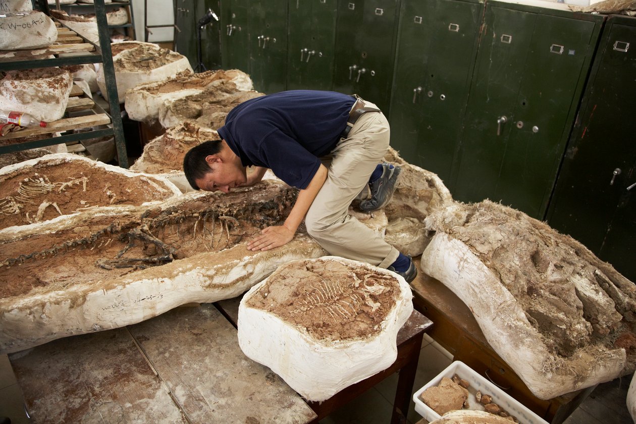 Xing Xu a jeho kolegové zkoumají vzorky v čínském Ústavu paleontologie obratlovců a paleoantropologie v Xiaotangshan v severním Pekingu. od Ira Block