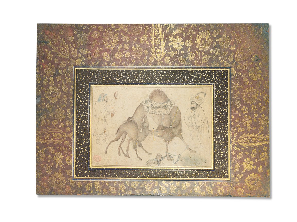 Velbloud a její tele, Safavid Írán, 1650-1700 od Iranian School