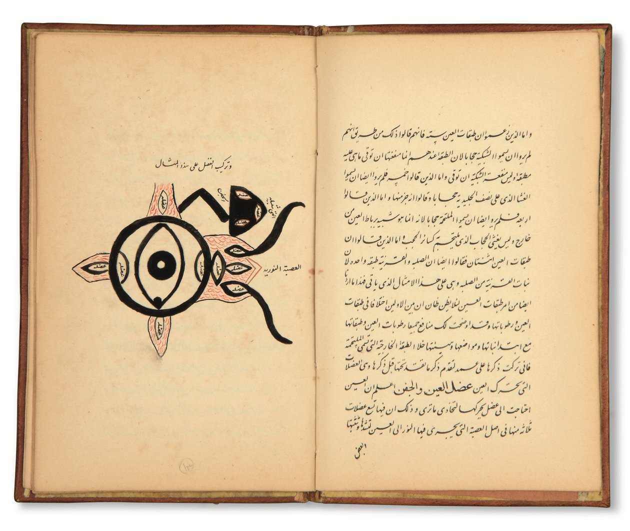 Hunayn Bin Ishaq (zemř. 873 n. l.): Tři pojednání (Maqalat) o oftalmologii, Qajar, Írán, první polovina 19. století (tuš na papíře) od Iranian School
