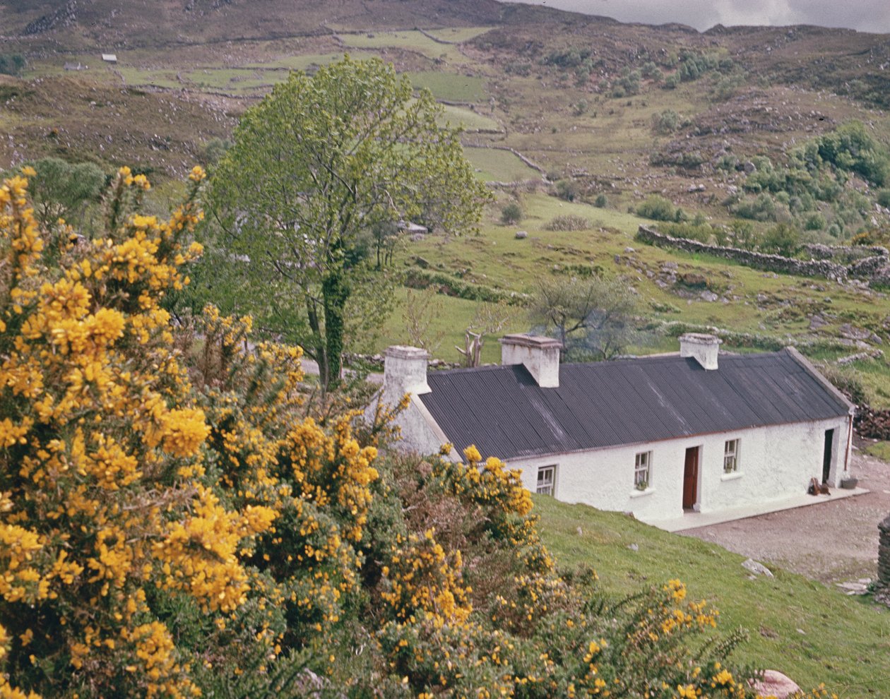 Chata v hrabství Kerry, Irsko od Irish Photographer