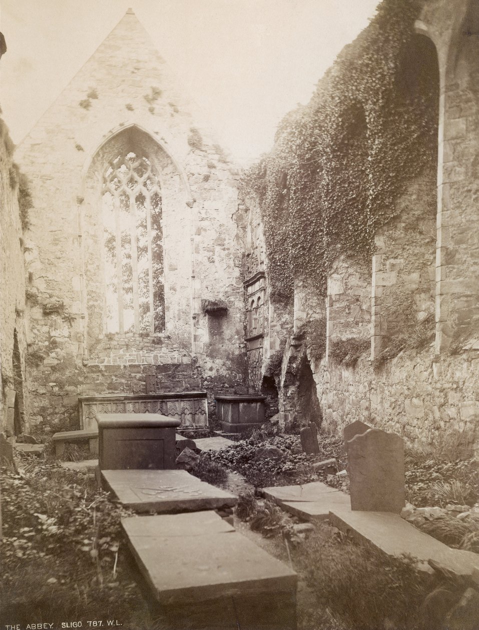 Ruiny opatství Sligo (sépiová fotografie) od Irish Photographer