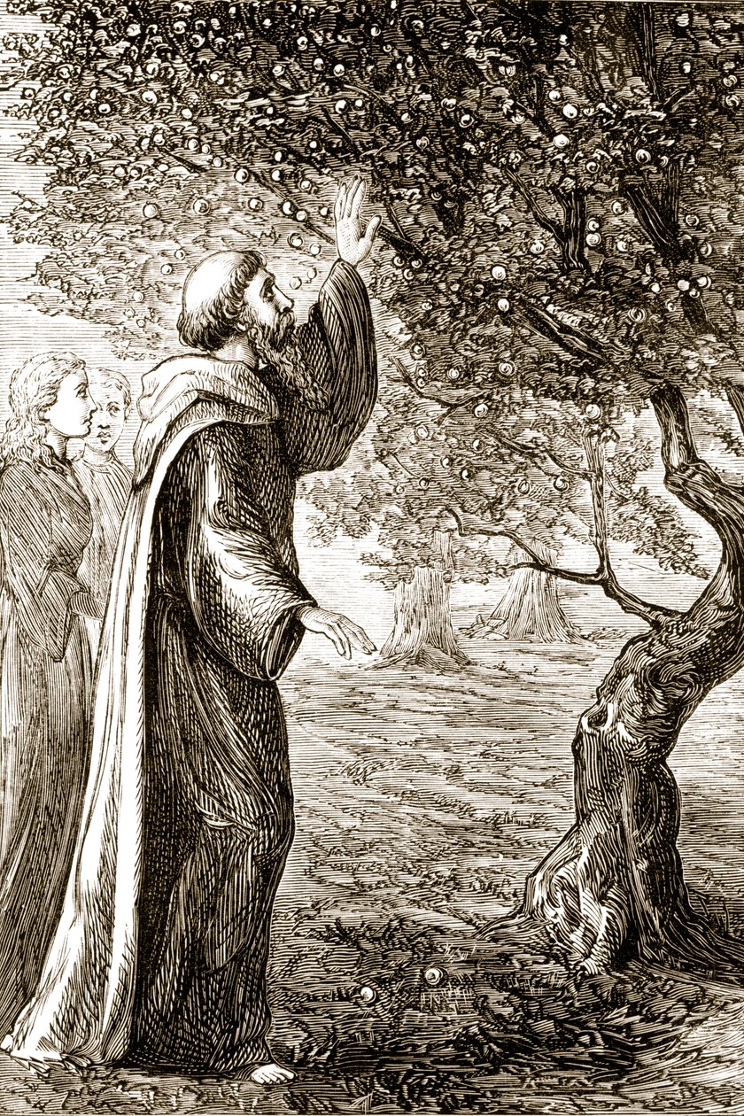 St. Columba mění hořké ovoce na sladké, z knihy Trias Thaumaturga neboli Tři zázrační svatí z Irska od Mary Cusack (1829-99) vydané kolem 90. let 19. století od Irish School