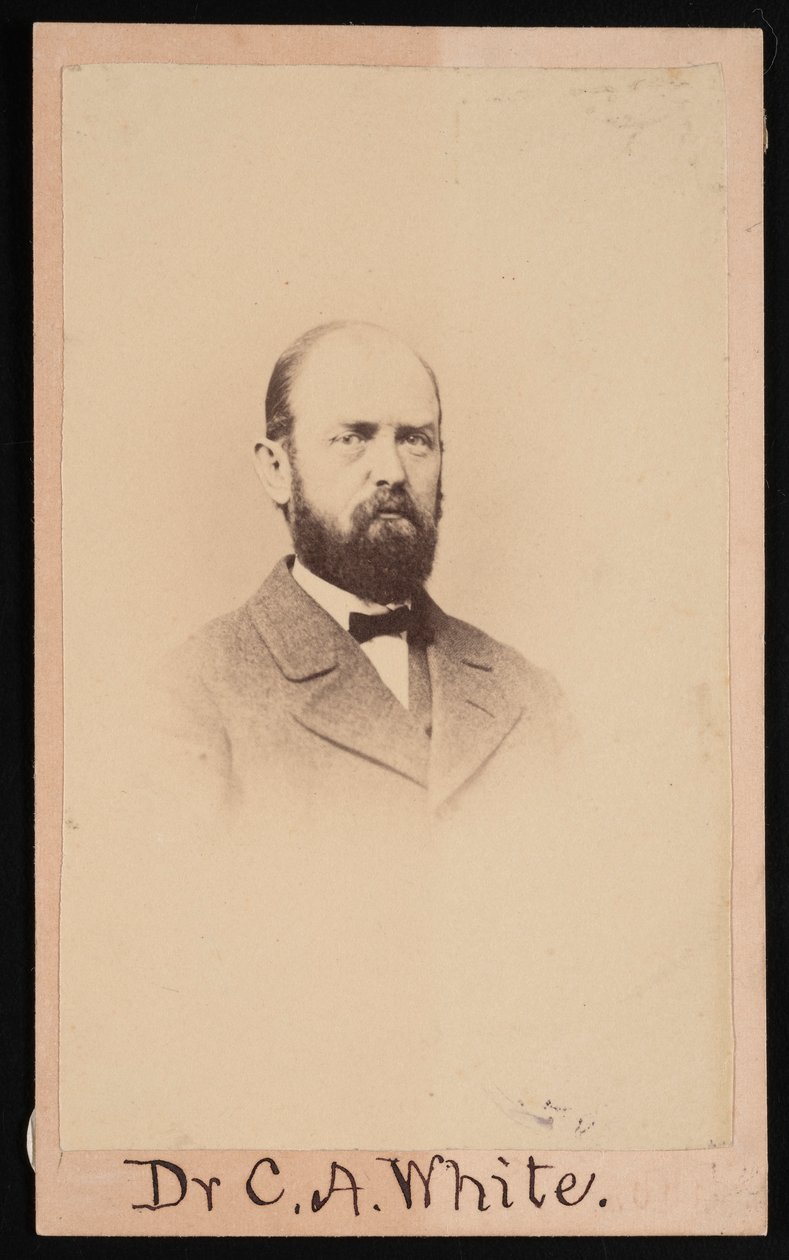 Portrét Charlese Abiathara Whitea 1826-1910, 1868. od Isaac Augustus Wetherby
