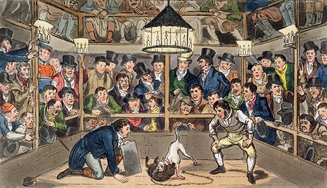 Tom a Jerry se ve Westminster Pit přímo vrhli na fenomén Monkey, Jacco Macacco, z filmu „Life in London“ od Pierce Egana od Isaac Robert & George (1792 1878) Cruikshank