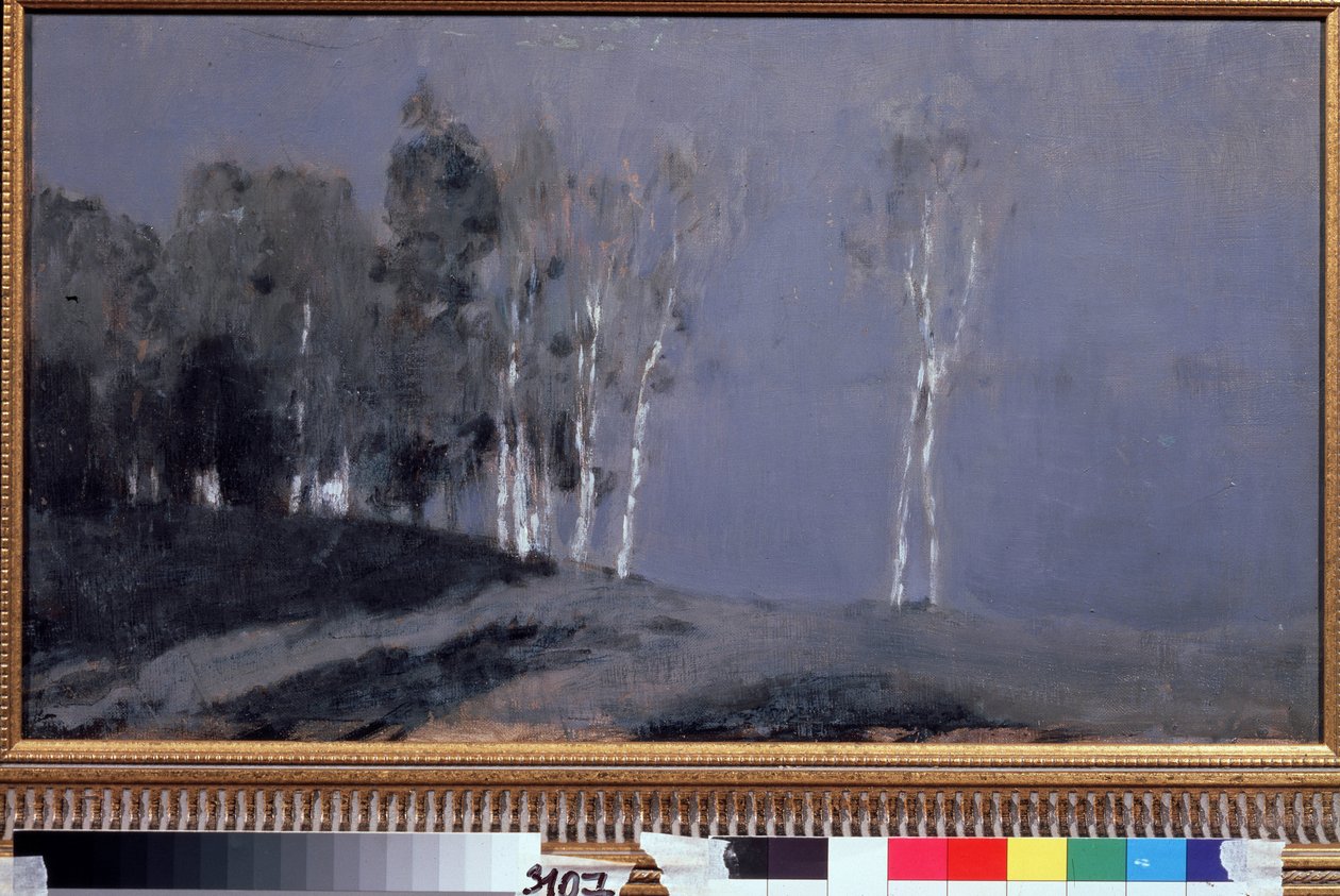 Měsíčná noc. Obraz Isaac (Isaac) Iljič Levitan (1860-1900), olej na plátně, kolem roku 1890. Ruské umění, krajina 19. století. Státní Treťjakovská galerie, Moskva. od Isaak Ilyich Levitan
