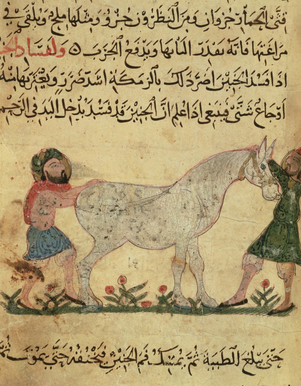 Veterinář pomáhající klisně při porodu, ilustrace z „Knihy podkovářství“ od Ahmeda ibn al-Husajna ibn al-Ahnafa, 1210 od Islamic School