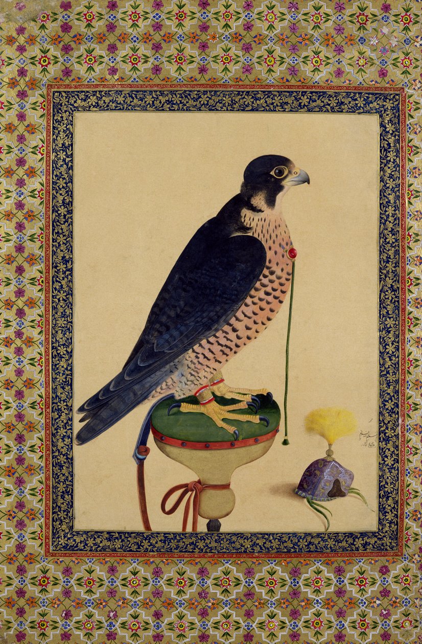 Paní E-14 Falcon, z Moraqqa od Islamic School