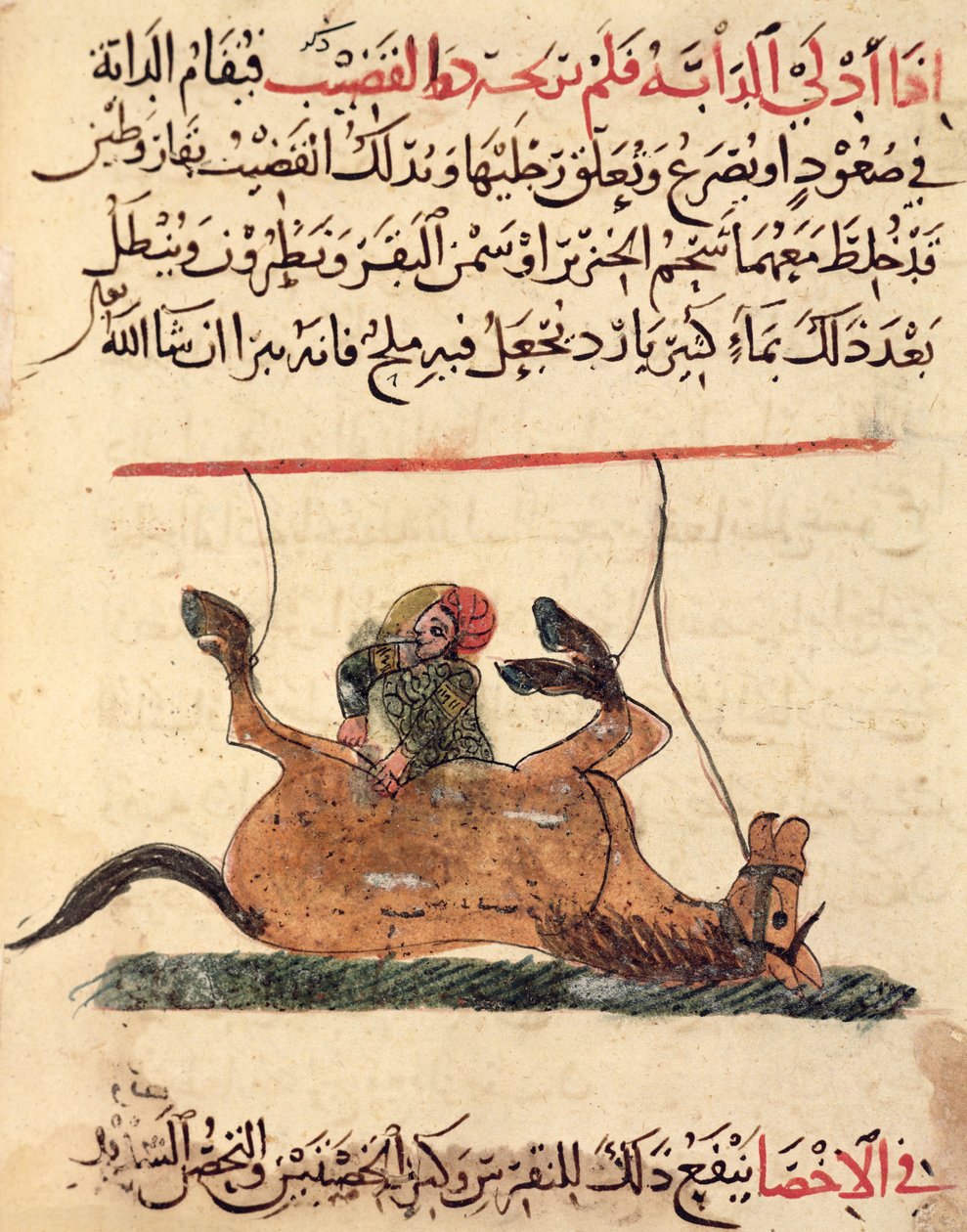 Operace na koni, ilustrace z „Knihy o podkovářství“ od Ahmeda ibn al-Husayn ibn al-Ahnaf, 1210 od Islamic School