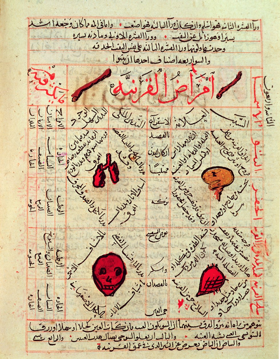 Stránka z „Kánonu medicíny“ od Avicenny (Ibn Sina) (980-1037) od Islamic School