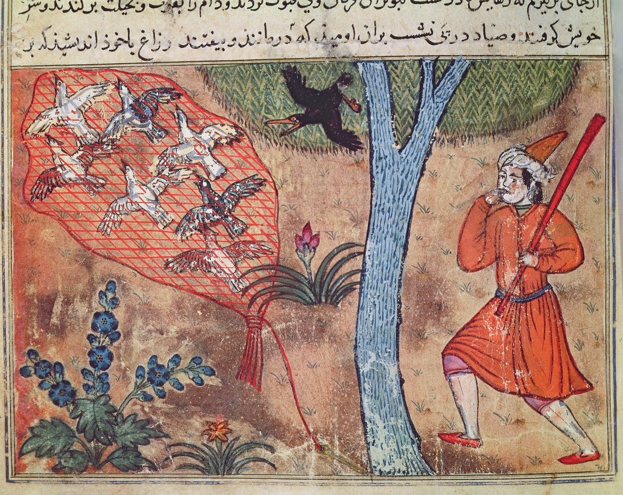 Lov ptáků, z „Knihy Kalily a Dimny“, z „Bajky Bidpay“ od Islamic School