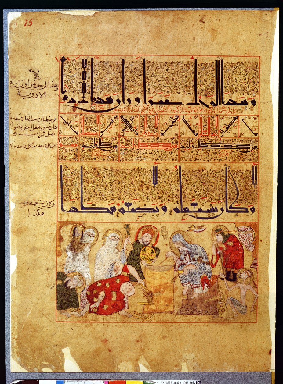 Paní Arabe 2964 fol. 15 z Pojednání o Theriacu po Galienovi, 1217 od Islamic School