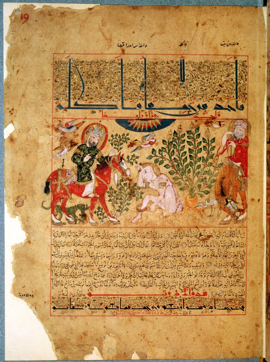 Paní Arabe 2964 fol. 19 Doktor Anoromachus léčící svého bratra uštknutého hadem, z Treatise of Theriac po Galienovi, 1217 od Islamic School