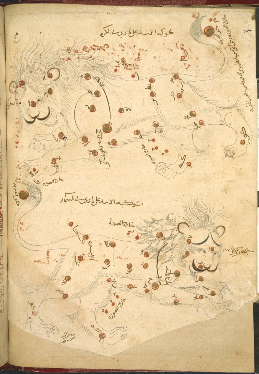 Nebo 5323 f.45v Dva lvi, ilustrace z „Popis stálých hvězd“, od Abd al-Rahman al-Sufi (inkoust a barva na papíře) od Islamic School