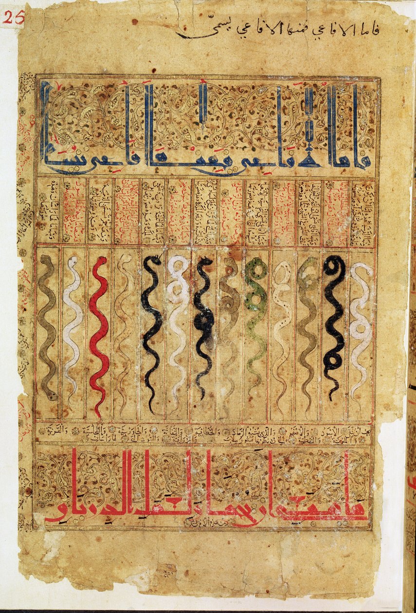 Pojednání o Theriakovi po Galienovi, 1217 od Islamic School